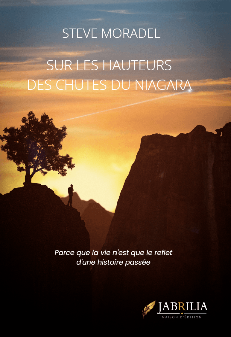 Sur les hauteurs des chutes du Niagara